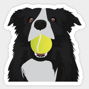 Border Collie with a Tennis Ball Sticker